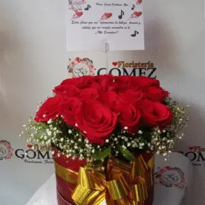 DIA DE LA MADRE No. 17