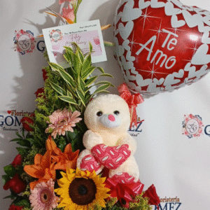 AMOR No. 12