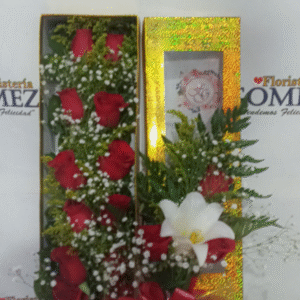 CAJAS No. 10