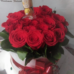 CAJAS No. 13